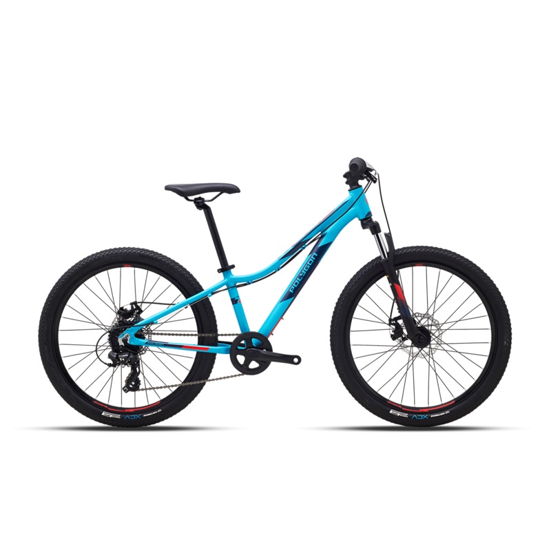 Polygon Relic 24 Kids Bike
