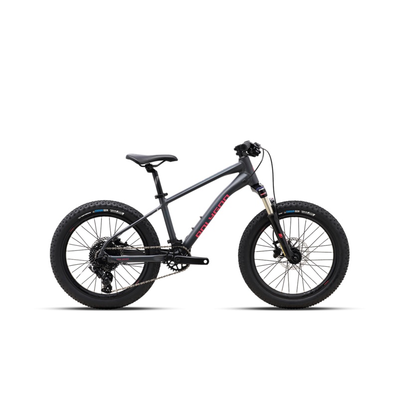 Polygon Xtrada 20 Kids Bike