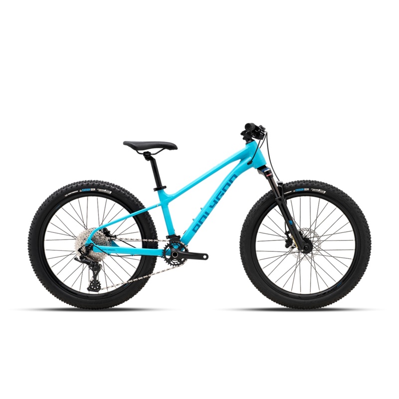 Polygon Xtrada 24 Kids Bike