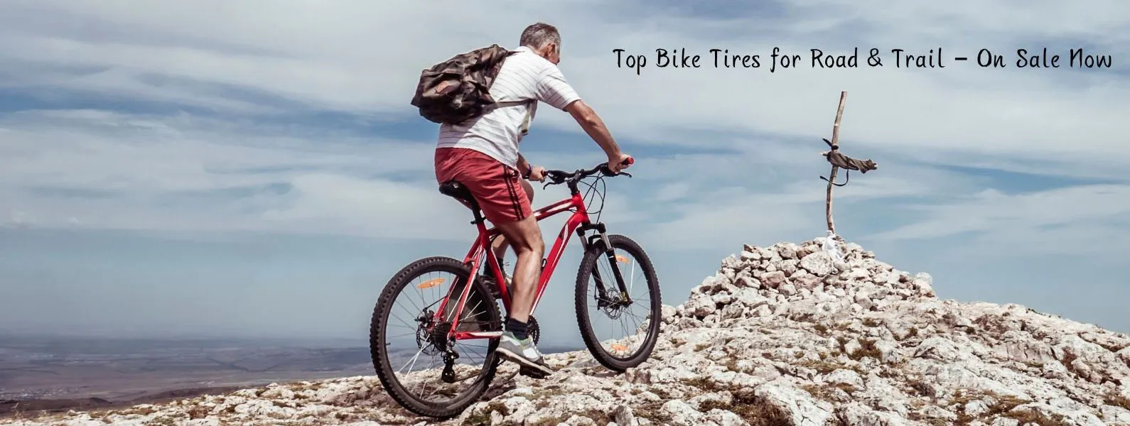 Shop Bike Tires Online – Road, Mountain & Gravel Tires at Great Prices